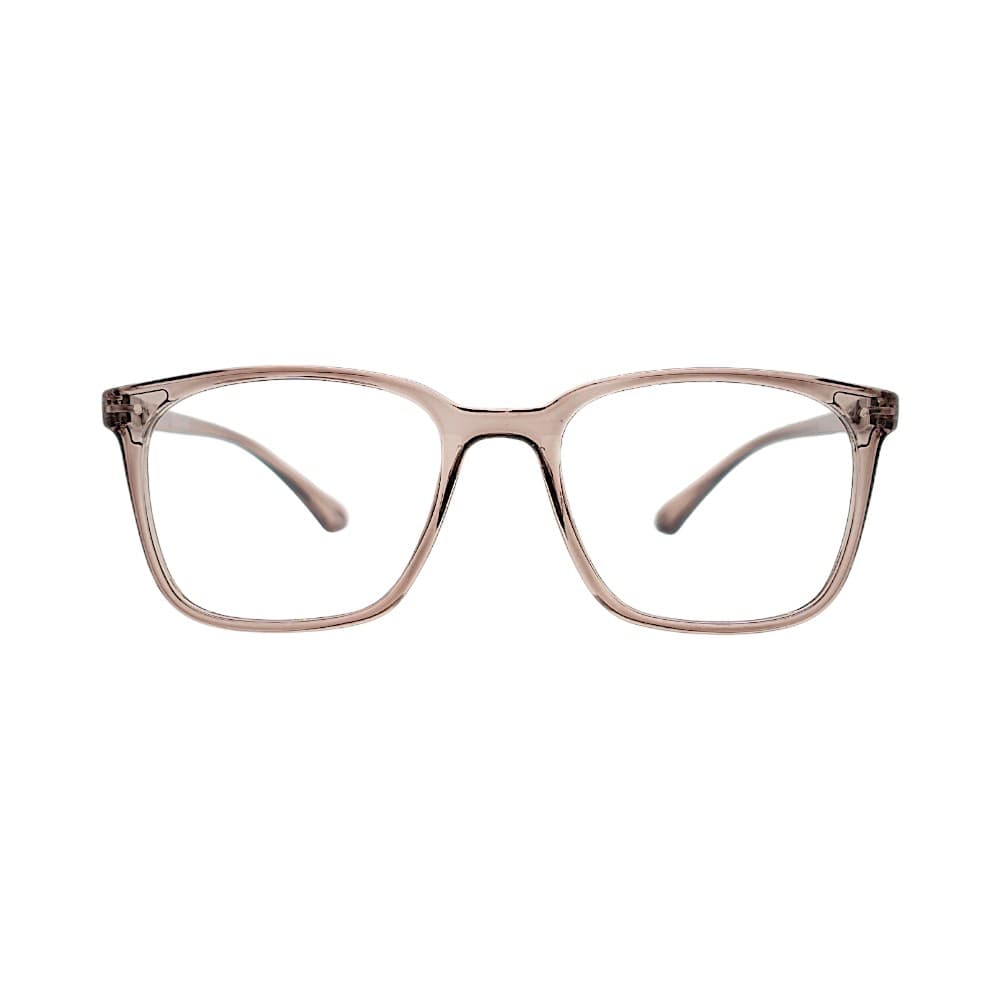 Transparent Brown Wayfarer Eyeglasses Frames | Stinic Eyeglasses for Men