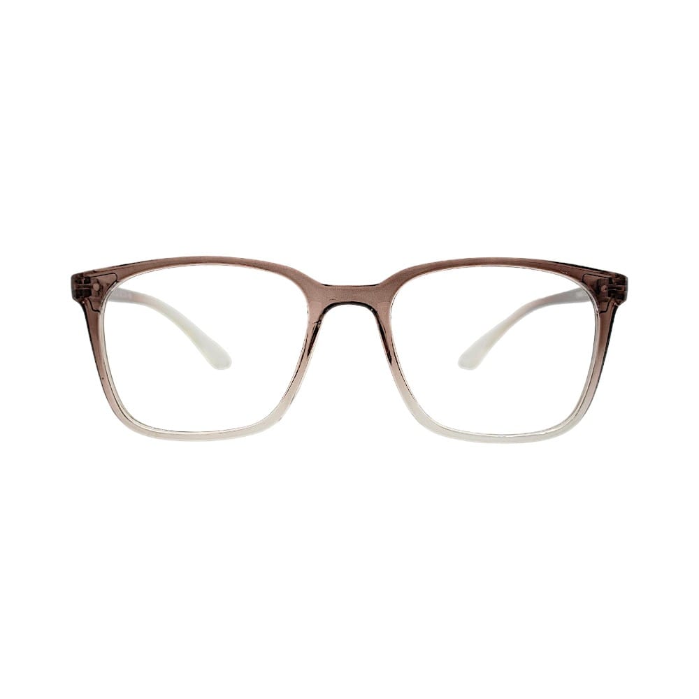 Brown & Transparent Wayfarer Eyewear Frames | Stinic Eyeglasses for Men