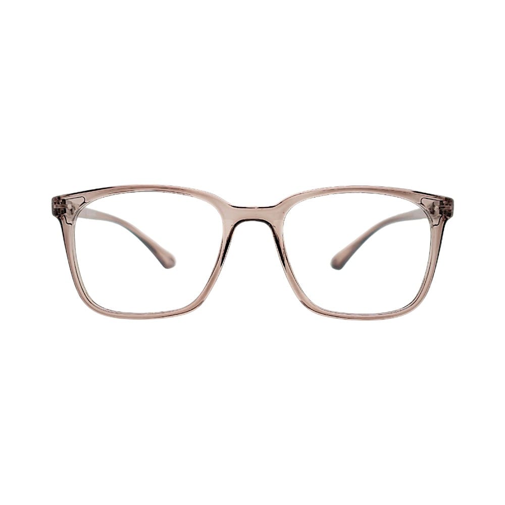 Transparent Brown Wayfarer Eyeglasses Frames | Stinic Eyeglasses for Men