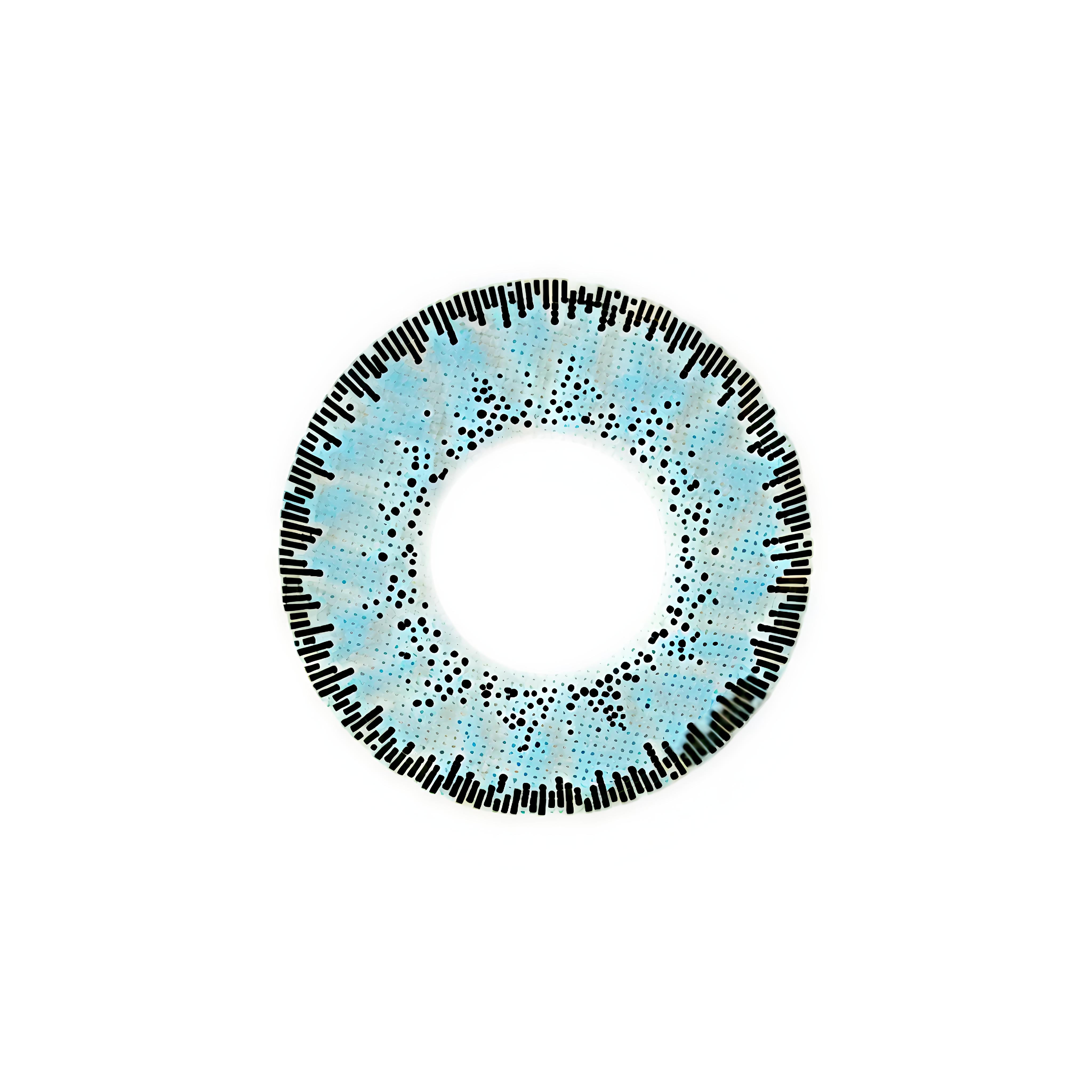 Baush+Lomb (Blue) Lacelle Natural look